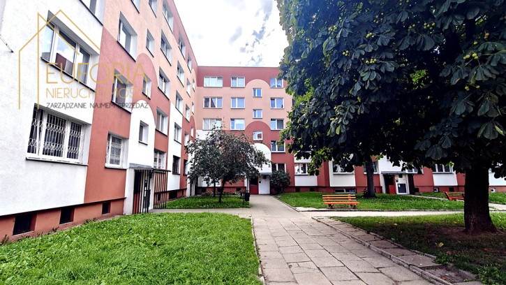 Mieszkanie Wynajem Łódź Jana Kochanowskiego 1